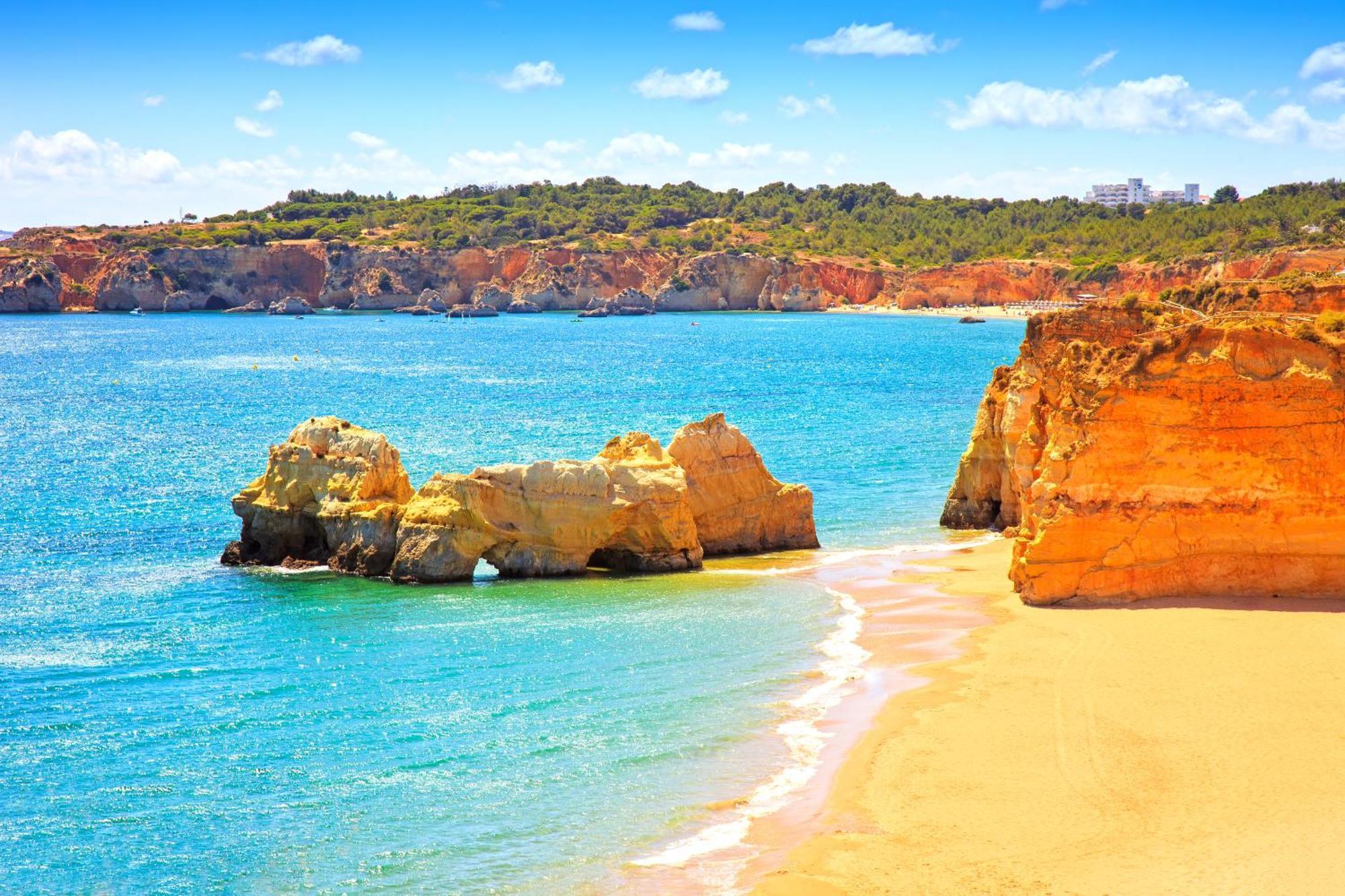 Homes Da Rocha Cozy 50 M Away From The Ocean Apartment *